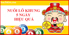 Soi cầu lô đề xsmb chạy 5 ngày chuẩn nhất dễ ăn bạch thủ hôm nay