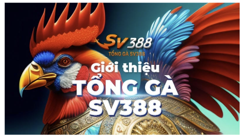 Một số lưu ý quan trọng khi truy cập link vào SV388 Một số lưu ý quan trọng khi truy cập link vào SV388