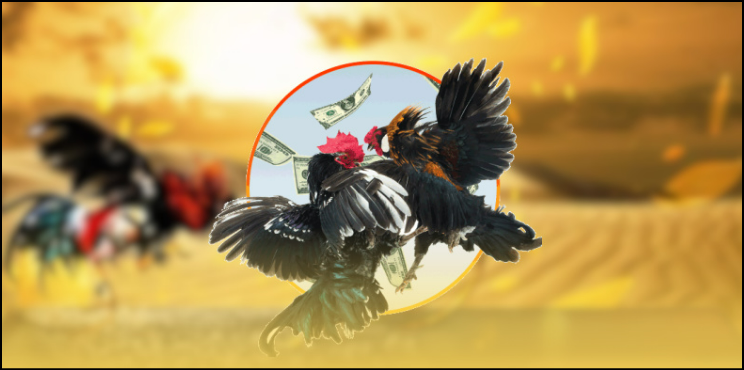 Quy định nhận khuyến mãi tại GA888