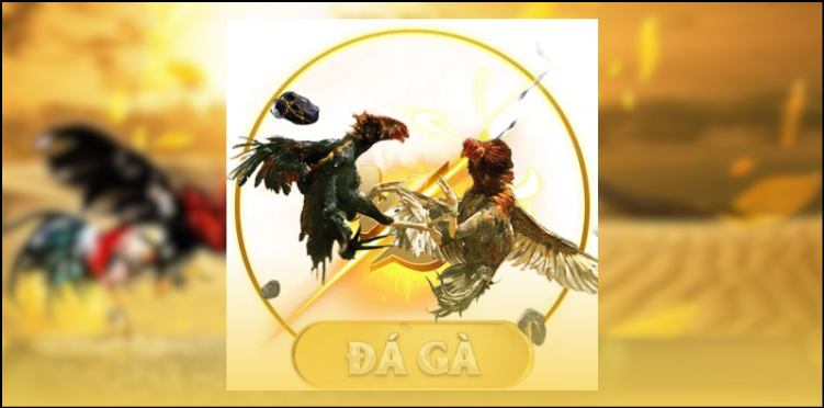 Trách nhiệm và nghĩa vụ của tân thủ mới tham gia 