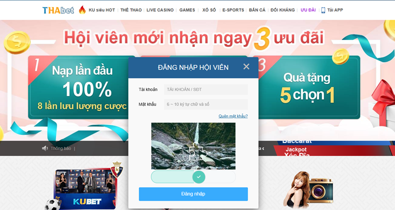 Yêu cầu cần thiết để đăng nhập THABET