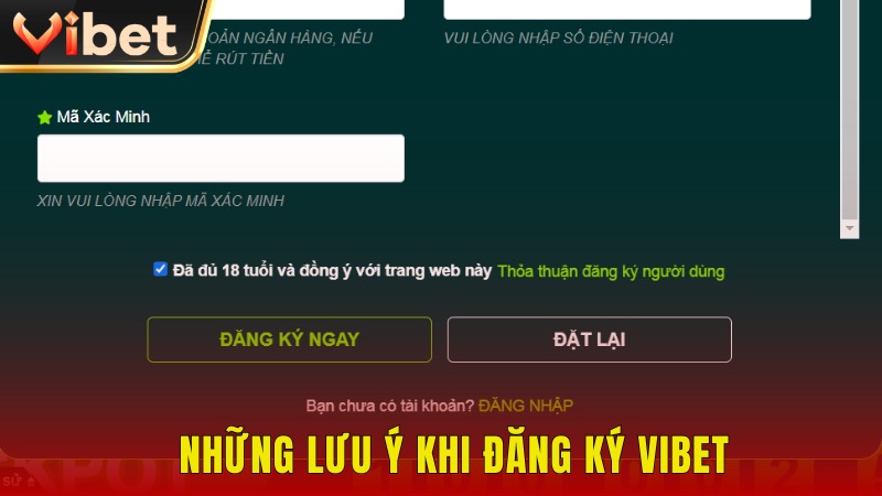 Những lưu ý quan trọng khi đăng ký Vibet