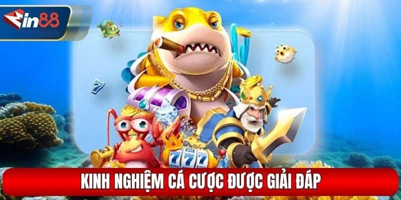 Ba câu hỏi giúp nâng cao kỹ năng bắn cá MIN88