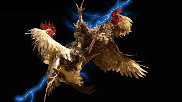  Tinh Thần Tỉnh Táo – Bí Quyết Thắng Lớn Tại 99ok