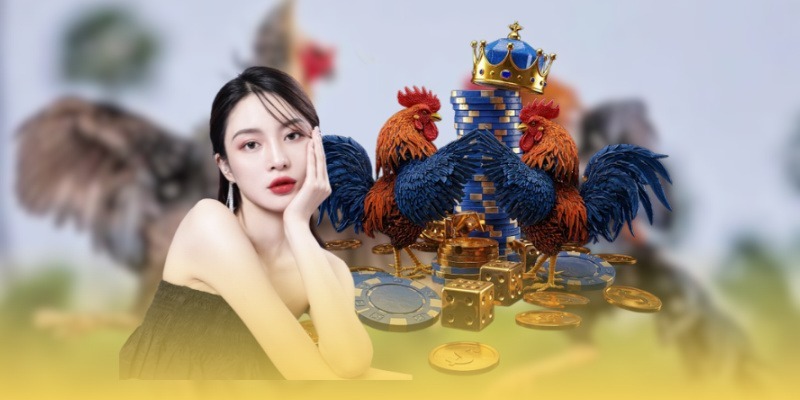 Hiểu rõ về nền tảng và luật chơi đá gà SV388