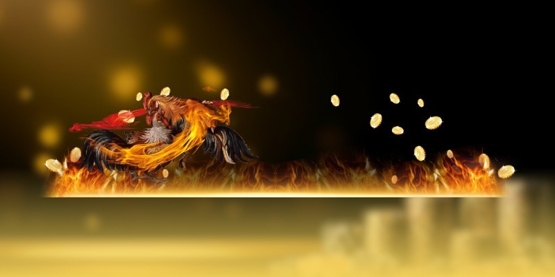 Bí quyết giúp tăng tỷ lệ thắng khi chơi đá gà SV388