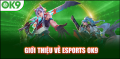 Esports OK9 - Cá cược thể thao điện tử uy tín hàng đầu