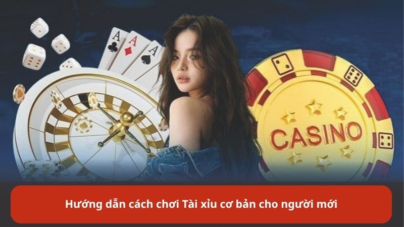 Hướng dẫn cách chơi Tài xỉu cơ bản cho người mới