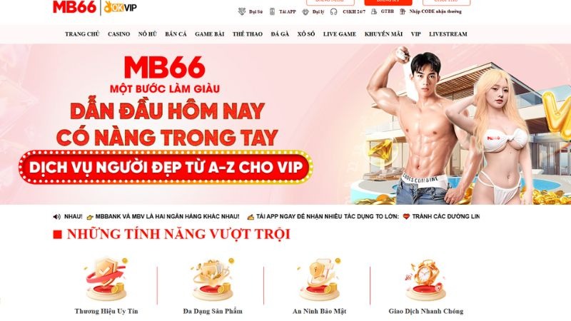 Giới thiệu về MB66 Giới thiệu về MB66