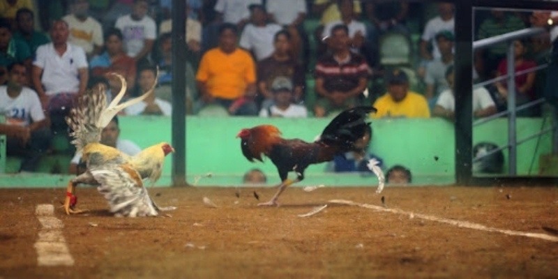 Tận dụng ưu đãi để nâng cao hiệu quả cá cược